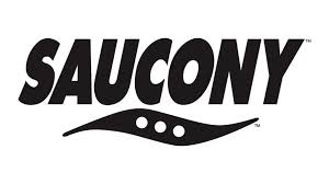 Publication logo